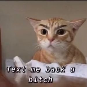 Meet your Posher, Valery